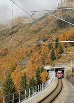 Der Bernina-Express von Tirano nach Chur hat den Kehrtunnel unterhalb des Bahnhofs Alp Grüm verlassen und fährt inmitten der prächtigen Herbstlandschaft bergwärts.