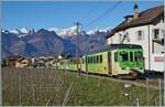 Der TPC ASD BDe 4/4 403 mit Bt (ex BLT) und einem weiteren BDe 4/4 ist kurz vor Aigle Château (ehemals Aigle Dépôt ASD) auf dem Weg nach Les Diablerets. 

27. Juni 2024 