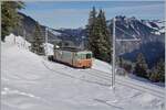 Der BLM Be 4/4 N° 21 ist zwischen Grütschalp und Winteregg auf der Fahrt nach Mürren.