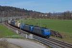 CROSSRAIL: Blaue Doppeltraktion im Dienste von CROSSRAIL. Der schwere Gterzug auf der Fahrt in Richtung Sden mit der 185 535-2 an der Zugsspitze, wurde am 14. April 2013 bei Roggwil aufgenommen.
        
Foto: Walter Ruetsch
