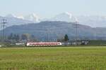 Der neue RABe 533 701 der wieder zurück nach Gümligen unterwegs ist am 11.11.24 bei Wichtrach.