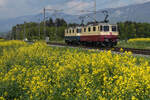 IRSI/TransRail-Lokzug bestehend aus TEE Re 421 393  und Rheingold Re 421 387 bei Deitingen am 3. Mai 2022.
Foto: Walter Ruetsch