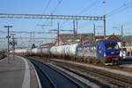 Widmer Rail Services AG
WRS Vectron Re 475 902  SCHERENSCHNITTLOK  mit einem Kesselwagenzug für die ASm in Oensingen am 1. Aril 2021.
Foto: Walter Ruetsch