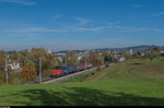 Lokalgüterzug mit Eem 923 024  Fronalpstock  und drei mit Metallschrott beladenen Eanos-Wagen am 4.