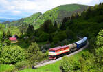 Die Altbau Diesellok 749 248 mit dem Feuerwehr-Löschzug hinter dem Dampfzug bei Turček (Turz).