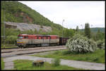 751126-1 steht hier am 14.5.2019 abfahrbereit vor einem Güterzug im Bahnhof Lubenik.