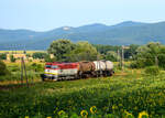 Die 751 208 mit dem Schnellgüterzug von Prievidza nach Bratislava kurz nach Zbehy.