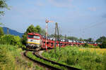 Die 751 195 mit dem Autozug Nex47168 (Lužianky TIP - Bochum Langendreer) ist auf dem Weg nach Leopoldov kurz nach Zbehy.