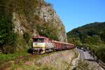 Die ZSSK Cargo 751 191 ist mit dem Verschubgüterzug (mit Holz) Mn 86550 zwischen Párnicou und Kraľovany.
21.09.2024.