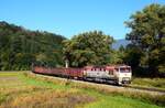 Die Altbau 751-er sind im Einsatz in der Slowakei! Die 751 191 ist mit dem Verschubgüterzug Mn 86551 unterwegs nach Trstená kurz vor Bziny.