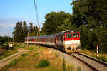 Die Taucherbrille 754 071 mit dem Abendzug 4370 von Komárno (Komárom) nach Dunajska Streda (Dunaszerdahely/Niedermarkt) kurz vor Hst.