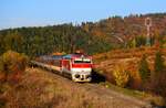 Die 754 083 ist mit dem R940  Fatran  in der bunten Landschaft kurz vor Hst. Horná Štubňa Obec.
27.10.2024.