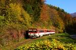 Der Triebzug 811 017 ist unterwegs als Os7916 aus Trstená nach Kraľovany kurz vor der Endbahnhof.