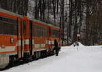 Kopfbahnhof Dubi.25.01.2025 10:50 Uhr  Das Dreiergespann   TW-BW-TW mach in Dubi Kopf.