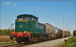SŽ 642-184 zieht Güterzug durch Cirkovce-Polje Richtung Pragersko. /10.10.2014