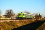 Der letzte  Grüne Zug : Der Doppel Tiebzug 711 015/016 ist auf dem Weg nach Ormož kurz nach der Abfahrt aus dem Grenzbahnhof (HR-SI) Središče ob Dravi.
28.12.2023.