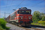 SŽ 363-029 zieht Güterzug durch Maribor-Tabor Richtung Norden.