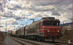 SŽ 363-011 zieht Güterzug durch Maribor-Tabor Richtung Norden. /5.2.2020