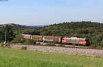 363 010 mit einem H-Wagenzug bei Prešnica 11.9.20