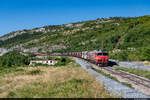Am 14.08.2021 ist SŽ 363 015 unterwegs mit einem Güterzug in Richtung Koper und konnte hier bei Zanigrad, Slowenien aufgenommen werden.