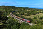 Bei Črnotiče ergibt sich dieser schöne Blick auf die sich durch die istrische Landschaft schlängelnde Bahnstrecke von Koper nach Prešnica.