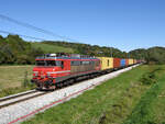 Anlässlich des 90. Geburtstags der Namensgeberin der slowenischen  Brižitas  möchte auch ich der Jubilarin gratulieren. Anbei ein Bild der 363 028 mit dem Containerzug 43601 am 28.September bei Cirknica.