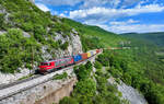 363 036 mit einem Containerzug am 11.05.2024 bei Zanigrad.