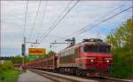 SŽ 363-004 zielt lehren Autozug durch Maribor-Tabor Richtung Norden. /17.4.2014