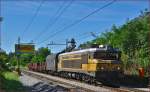 SŽ 363-005 zieht Güterzug durch Maribor-Tabor Richtung Norden. /18.8.2014