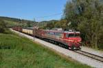 Die sechsachsige 363 022 war am 09. Oktober mit einem Güterzug von Spielfeld-Straß in Richtung Maribor unterwegs, aufgenommen in Cirknica.