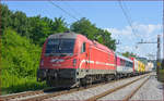 SŽ 541-008 zieht LkW-Zug durch Maribor-Tabor Richtung Tezno VBF.