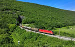 541 021 mit einem Kesselzug am 11.05.2024 bei Hrastovlje.