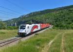 541 016 + 1216 143 + 541 019 am 06.06.2015 bei Zanigrad. 