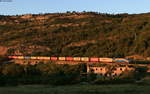 1216 921-7 und 2016 922-4 (Zugschluss) mit 41441 (Kalsdorf (in Kal)-Koper tovorna) dem bei Zanigrad 8.9.20