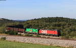 1293 061-8; 541 001  Scotch  und 541 007 (Zugschluss) mit dem 48400 (Koper tovorna-Voest Alpine Linz) bei Prešnica 11.9.20  