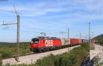 1293 069 mit dem 47401 (Leoben Donawitz-Koper tovorna) bei Prešnica 11.9.20