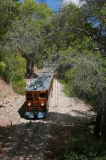 Nicht mehr weit zum Ziel hat es Triebwagen Nummer 3, als er mit seinem Zug von Palma de Mallorca nach Sóller am 19.09.2016 in einem bewaldeten Streckenabschnitt in das Orangental von Sóller hinunterfährt.