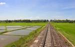 Wie ich am liebsten hier ausgestiegen wäre und ein herrliches Bild  mit Dieselzug und Reisfeld  machen würde...
Der Expresszug hatte im Bild den Khun Tan National Park verlassen und macht sich auf dem Weg nach Lampang. Doch bevor der in Lampang ankommen wird, wird der Zug in Kürze den Bf. Hang Chat erreichen. Montag, 31. Juli 2017