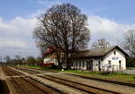 Zwei  schöne große Linden am EG von Veleliby.Strecke Nymburk-Jičín .
