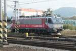 belgischen Ursprungs, SNCB-Reihe 12, ist die Reihe 365.004, die von CZLoko um 2016-2022 rekonstruiert wurde, hier fotografiert im Oktober 2023 im Bahnhof Děčín