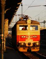 242 265-7 zu sehen am 08.11.14 in Plzen hl.n.im Sonnenuntergang.