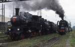 Zwei mit Dampfloks bespannte Sonderzüge warten am 2.9.1995 im Bahnhof Prag Smichov auf Ausfahrt in Richtung Hauptbahnhof.