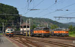 753 737 der AWT erreicht mit einem leeren Autozug am 12.06.19 Decin.