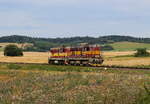 Bei etwas trüberen Sommerwetter wurde das Altlacktransistorpärchen 742 419 und 742 116 kurz vor Stedra auf der Trat 161 aufgenommen. Das Bild mit der Blumenweide im Vordergrund wurde am 02.07.2024 aufgenommen