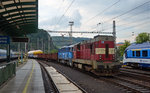 742 334 zog am 13.06.16 einen gemischten Güterzug aus Richtung Rbf Decin-Vychod kommend durch Decin Richtung Usti nad Labem.