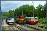 Voll belegt ist der Bahnhof Milotice nad Opavou (Erbersdorf) am 04.06.2017.