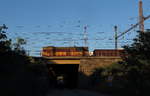 Die 742 395 steht im Güterbahnhof bei Litvonov und stellt neue Züge zusammen aufgenommen am 2.6.19 abends