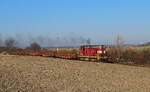 Mn 86531 von Brezno nach Louny_Most mit 742 018 und alten Res mit altem Signal. Aufgenommen am 28.03.2022 