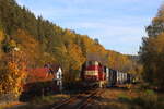 Herbstliche Stimmung im Tal der Svatava bei Olovi am 17.10.2022. Hier fuhr die 742 194 mit mehreren leeren Innofreight Containerwagen nach Rotava, wo diese dann mit Holz beladen worden. Diese Sonderleistung als Übergabe etablierte sich wöchentlich, montags, leer hin und Dienstagabend voll Zurück. 