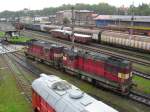 742 294-2 und 742 357-7 stehen im Bw Cheb, am 25.09.10.